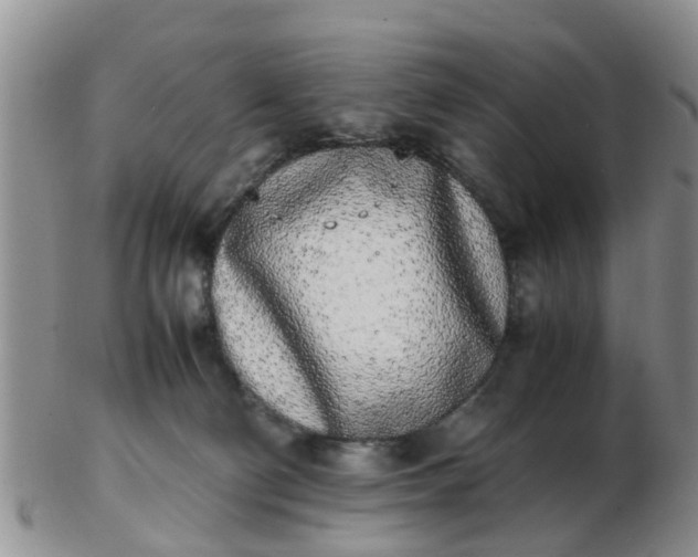 X0000103270130200809122144