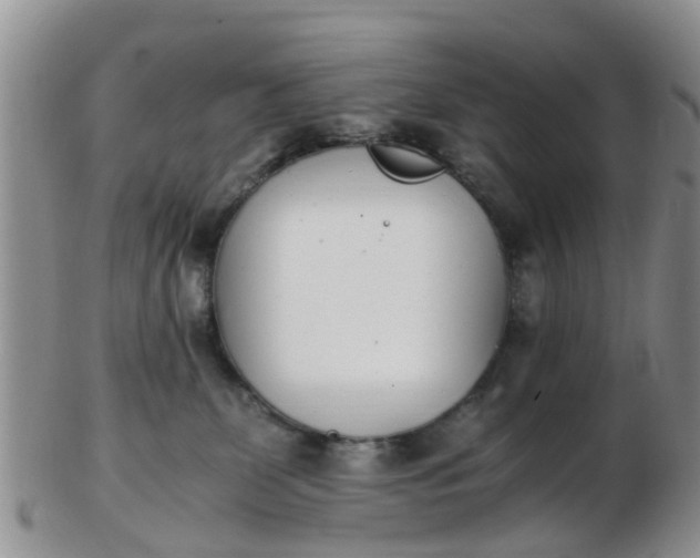 X0000103270131200809122144