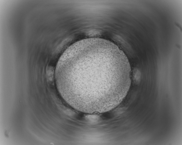 X0000103270133200809122144