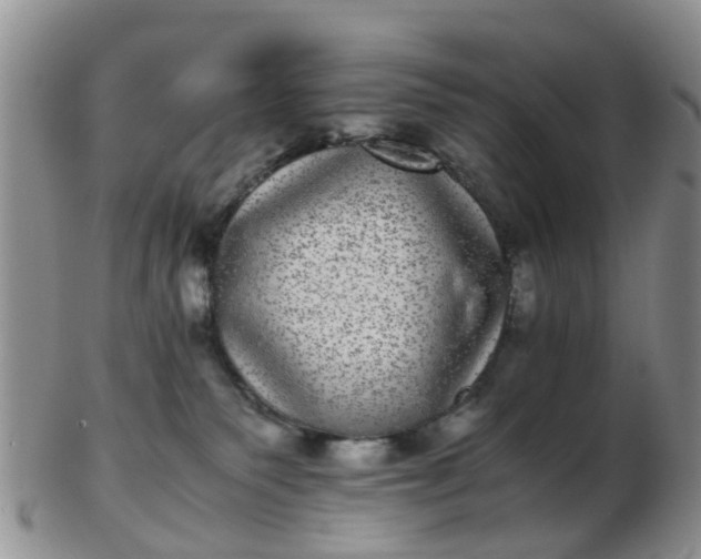 X0000103270135200809122144