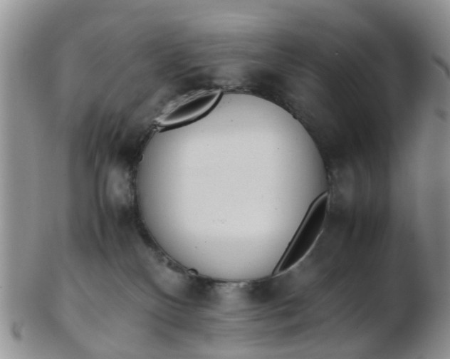 X0000103270136200809122144