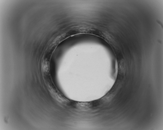 X0000103270137200809122144