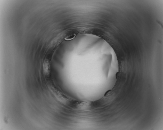 X0000103270138200809122144