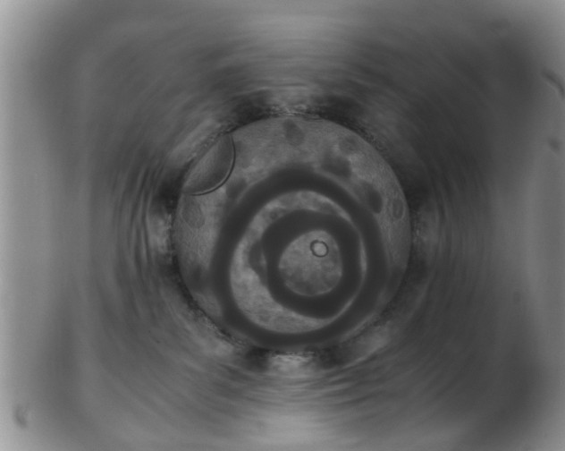 X0000103270139200809122144