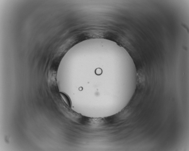X0000103270141200809122144