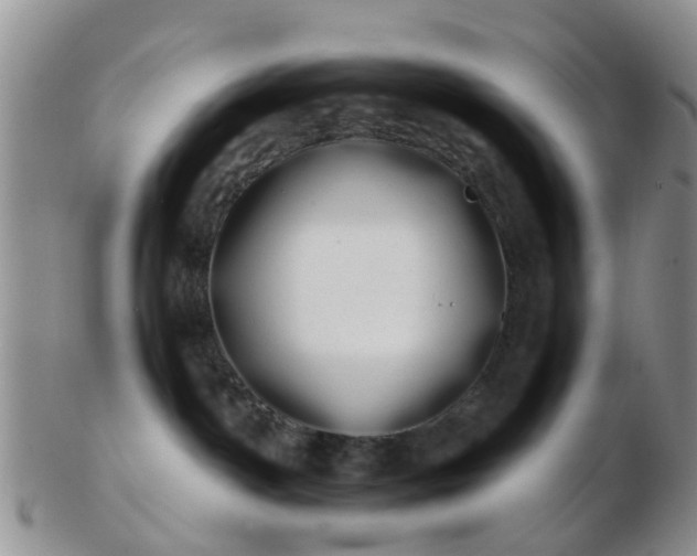 X0000103270142200809122144