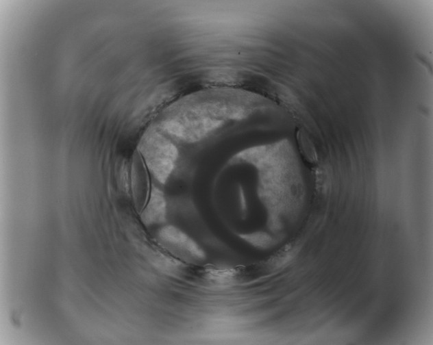 X0000103270143200809122144