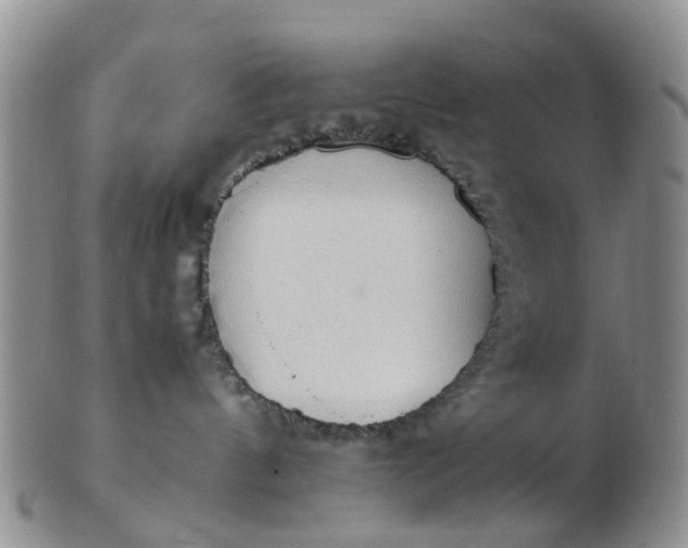 X0000103270144200809122144