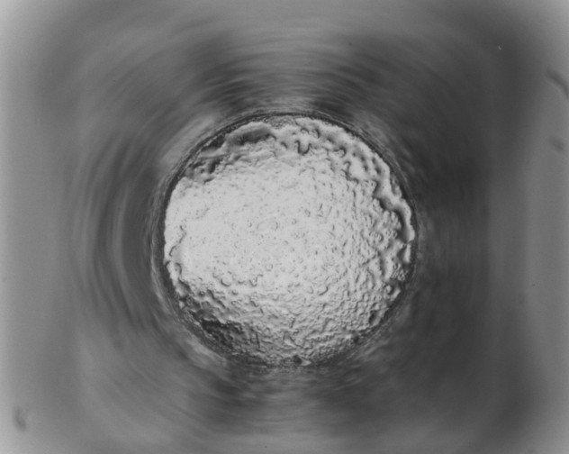 X0000103270145200809122143