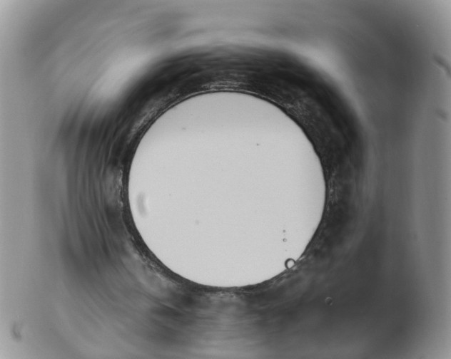 X0000103270146200809122143