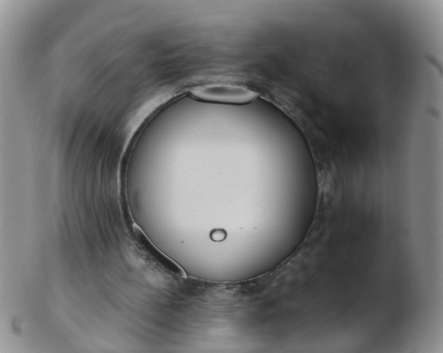 X0000103270148200809122144