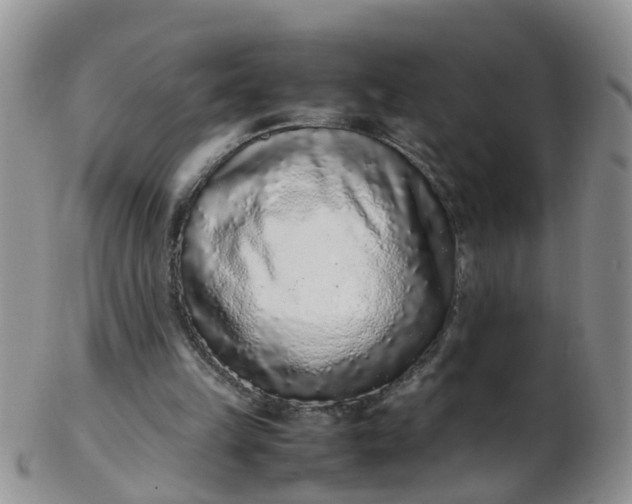 X0000103270149200809122144