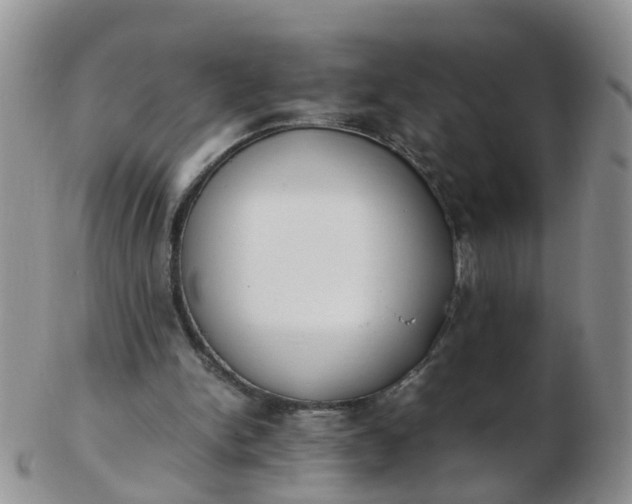 X0000103270150200809122144