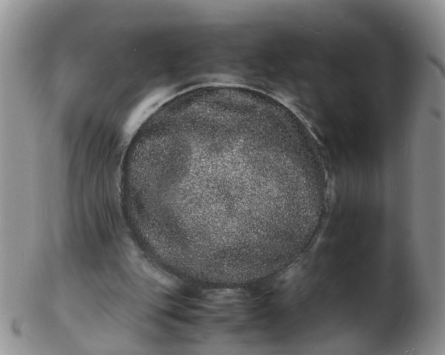 X0000103270151200809122144
