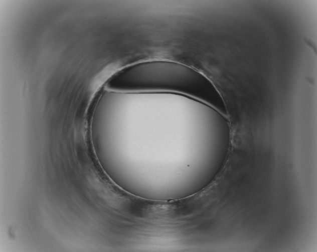X0000103270152200809122144