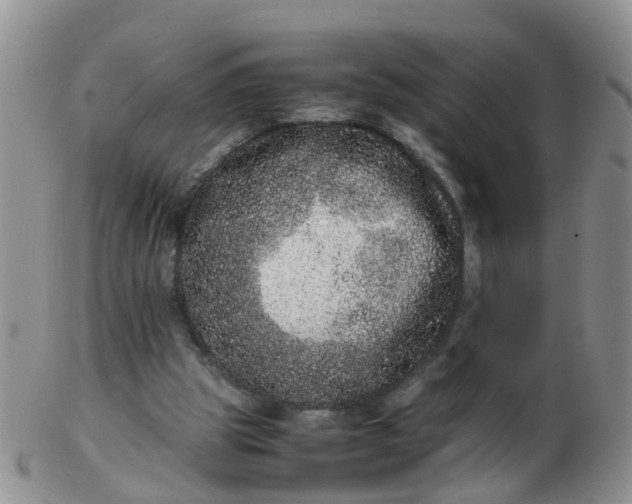 X0000103270153200809122144