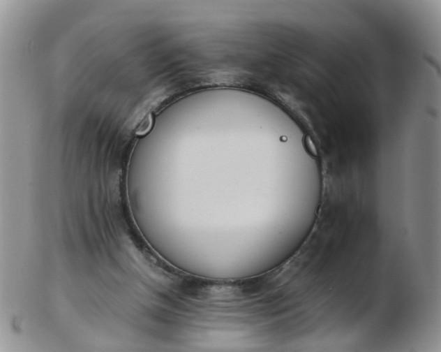 X0000103270154200809122144