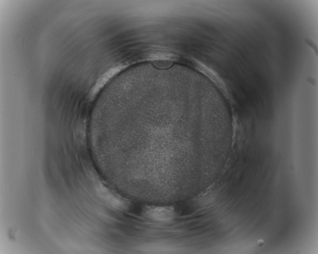 X0000103270155200809122144