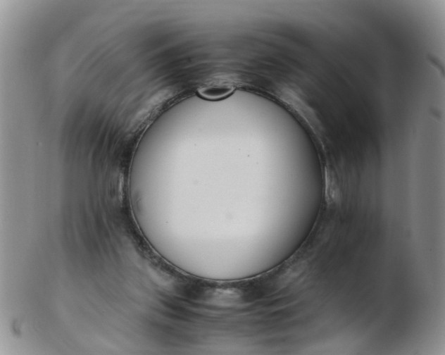 X0000103270157200809122144