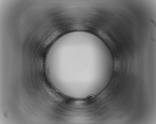 X0000103270158200809122144