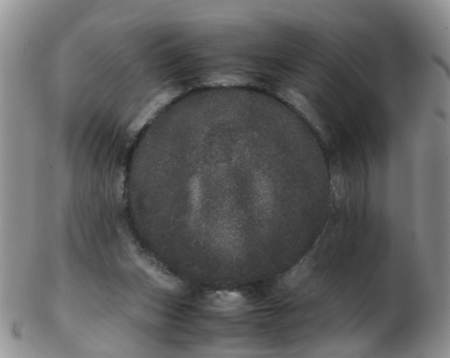X0000103270159200809122144