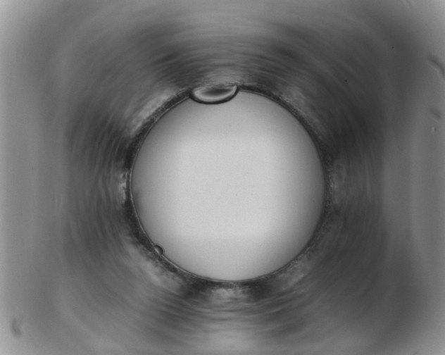 X0000103270160200809122144