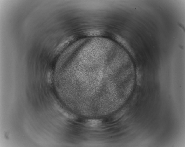 X0000103270161200809122144
