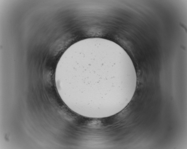 X0000103270162200809122144
