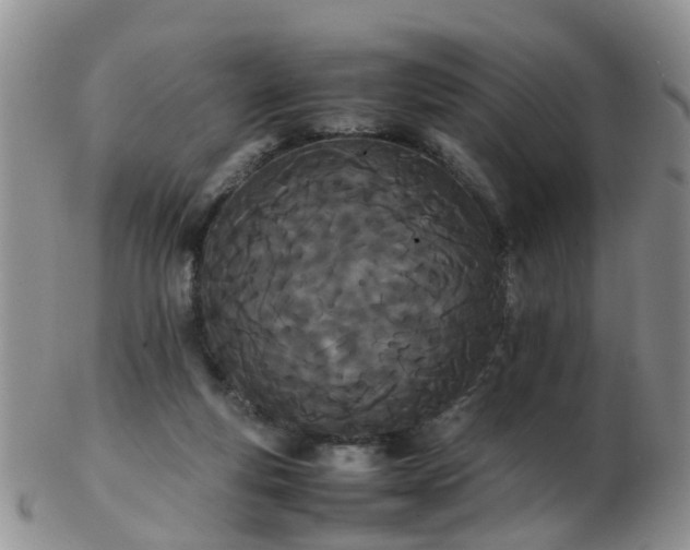 X0000103270163200809122144