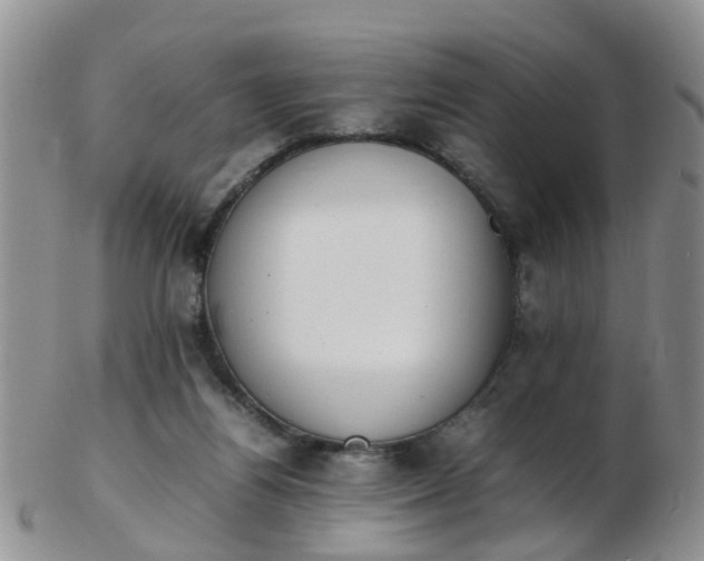 X0000103270164200809122144