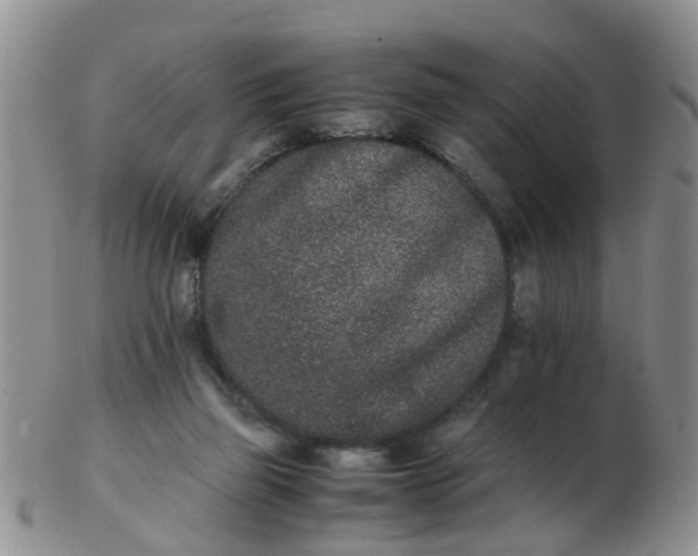 X0000103270165200809122144