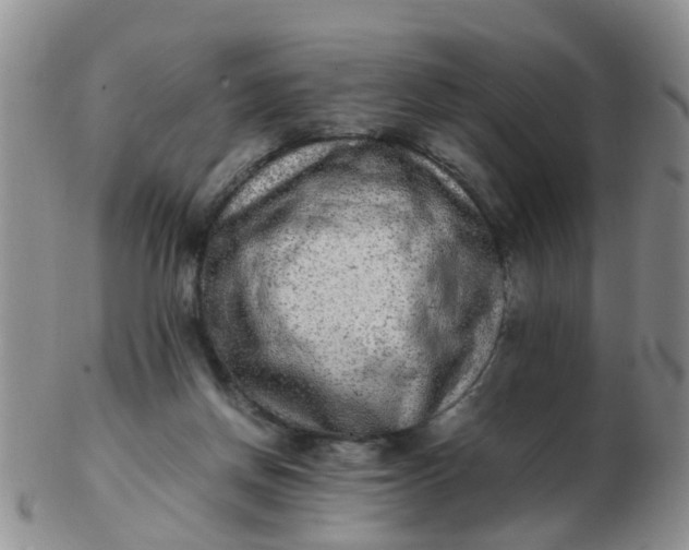 X0000103270166200809122144