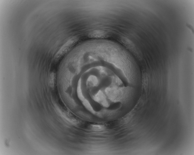 X0000103270167200809122144