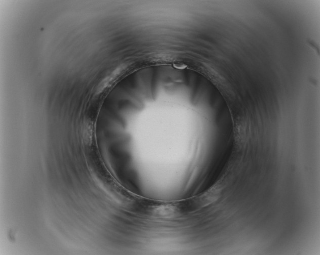 X0000103270168200809122144
