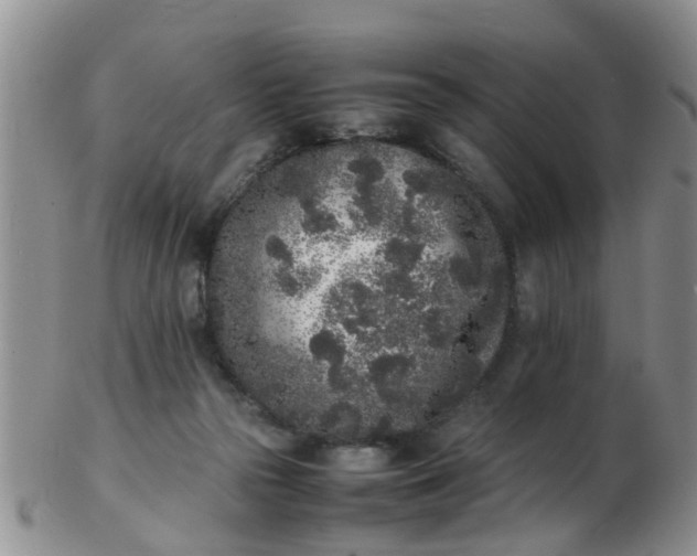 X0000103270169200809122144