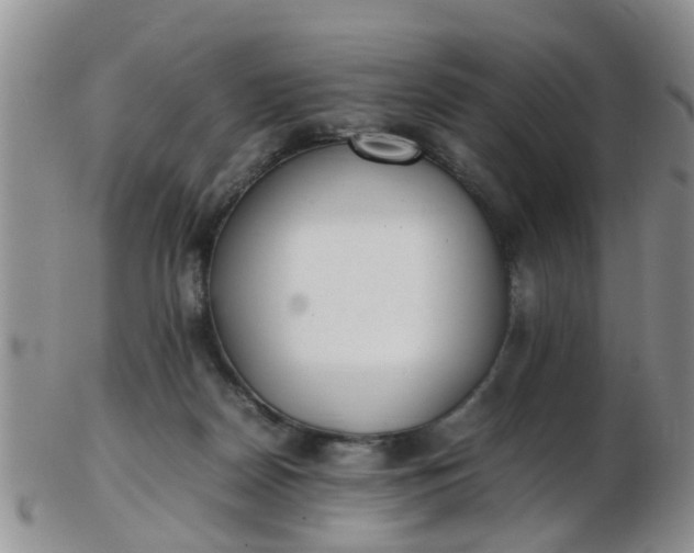 X0000103270170200809122144