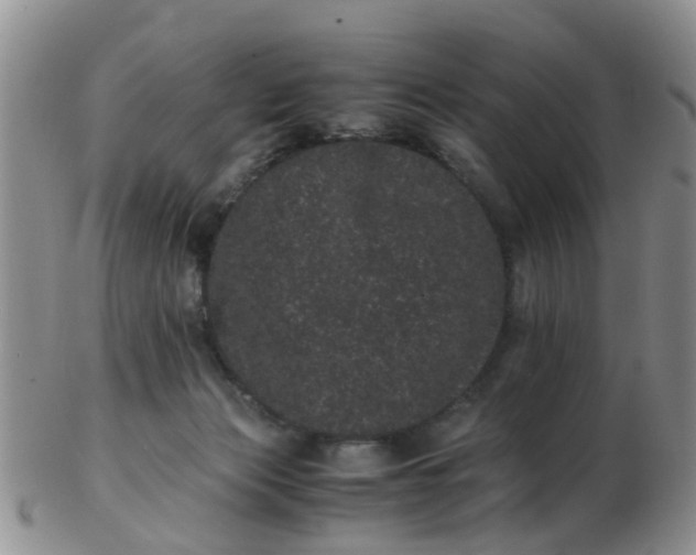 X0000103270173200809122144