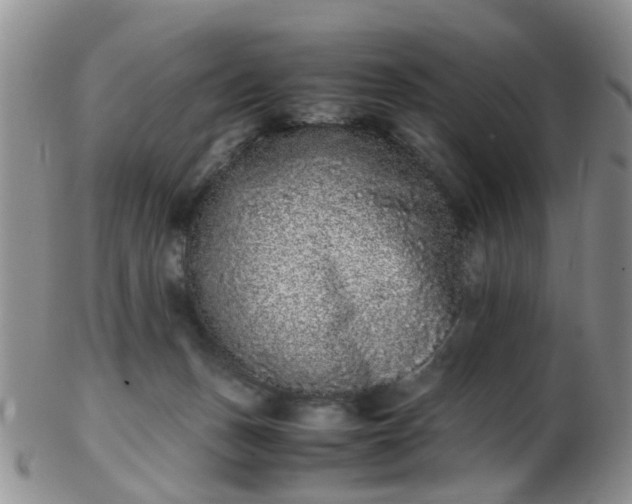 X0000103270175200809122144