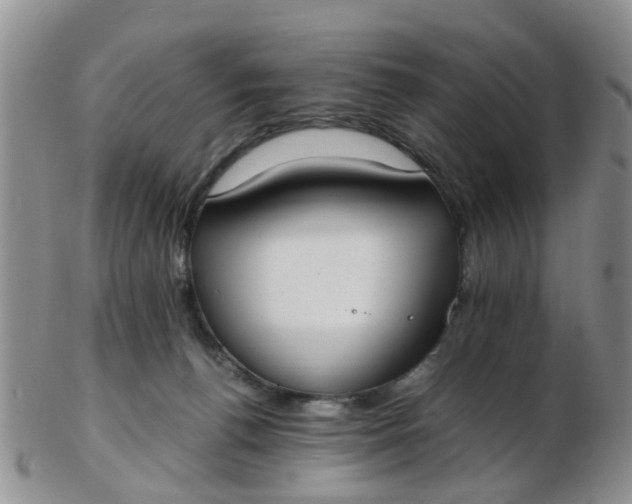 X0000103270176200809122144
