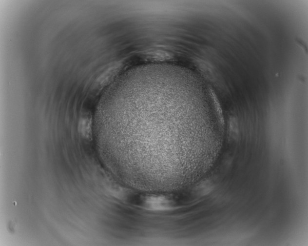 X0000103270177200809122144