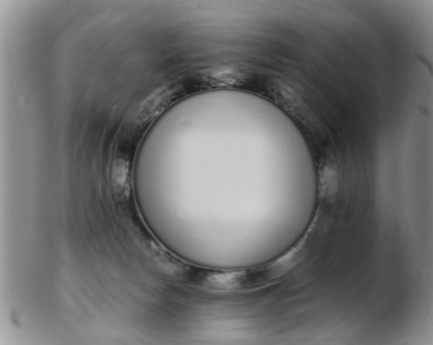 X0000103270178200809122144