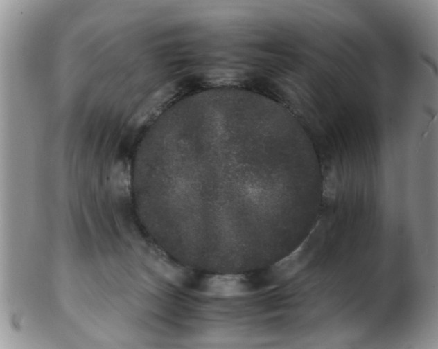X0000103270179200809122144