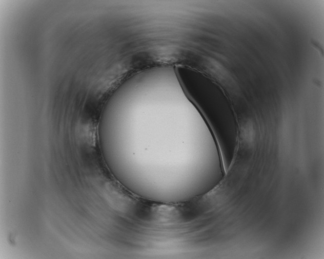 X0000103270180200809122144