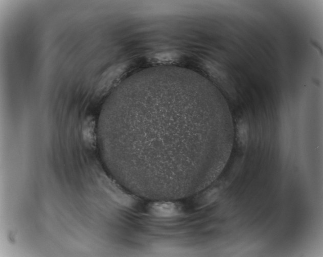 X0000103270181200809122144