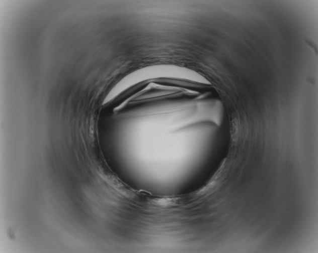 X0000103270184200809122144