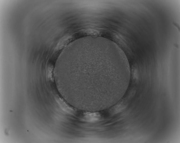 X0000103270185200809122144