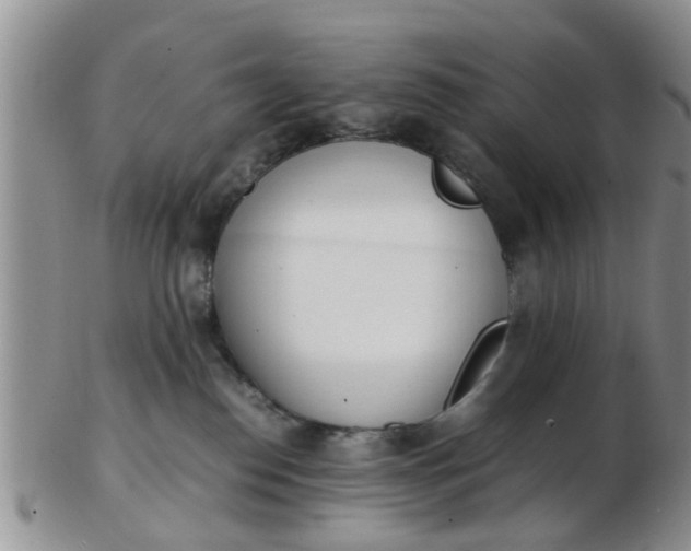 X0000103270186200809122144