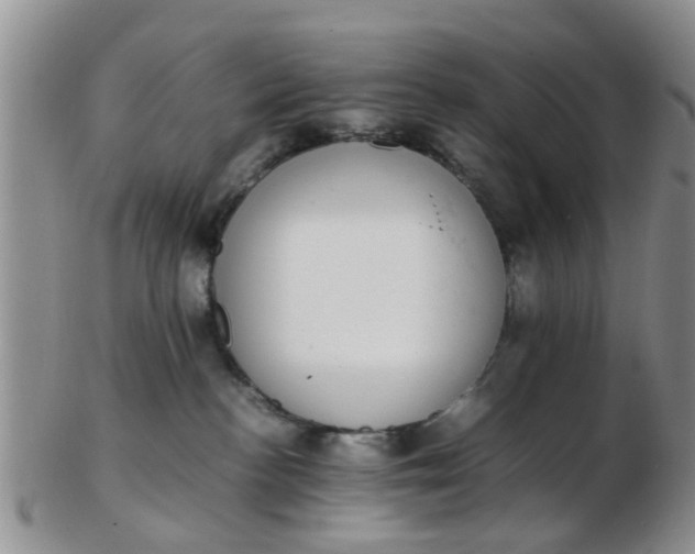 X0000103270188200809122144