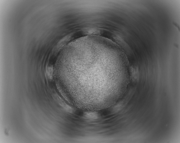 X0000103270189200809122144
