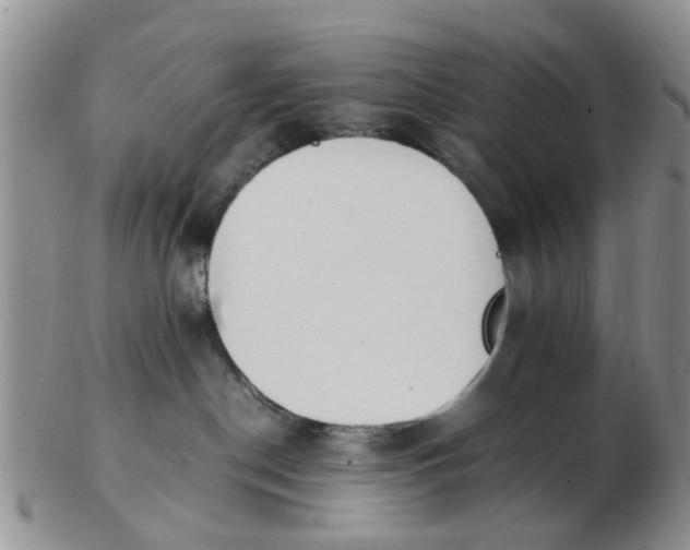 X0000103270190200809122144